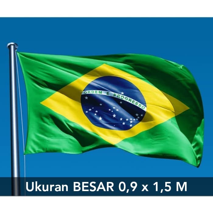 Detail Gambar Bendera Brazil Dan Perempuan Nomer 57