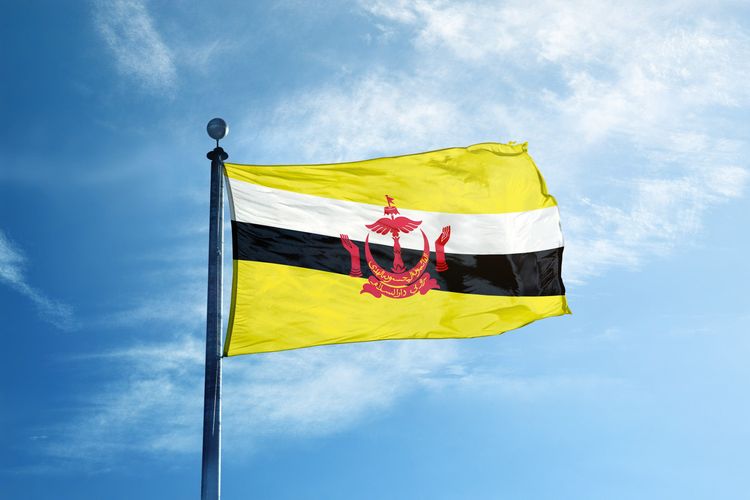 Detail Gambar Bendera Brunei Darussalam Nomer 23