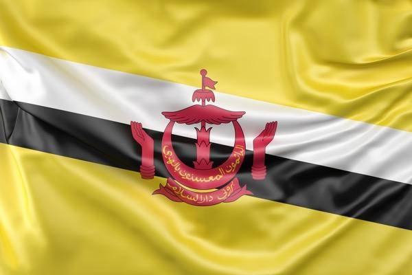 Detail Gambar Bendera Brunei Darussalam Nomer 41