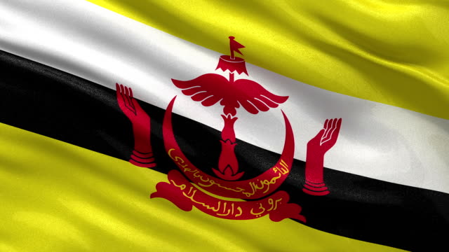 Detail Gambar Bendera Dan Lambang Negara Brunei Darussalam Nomer 52