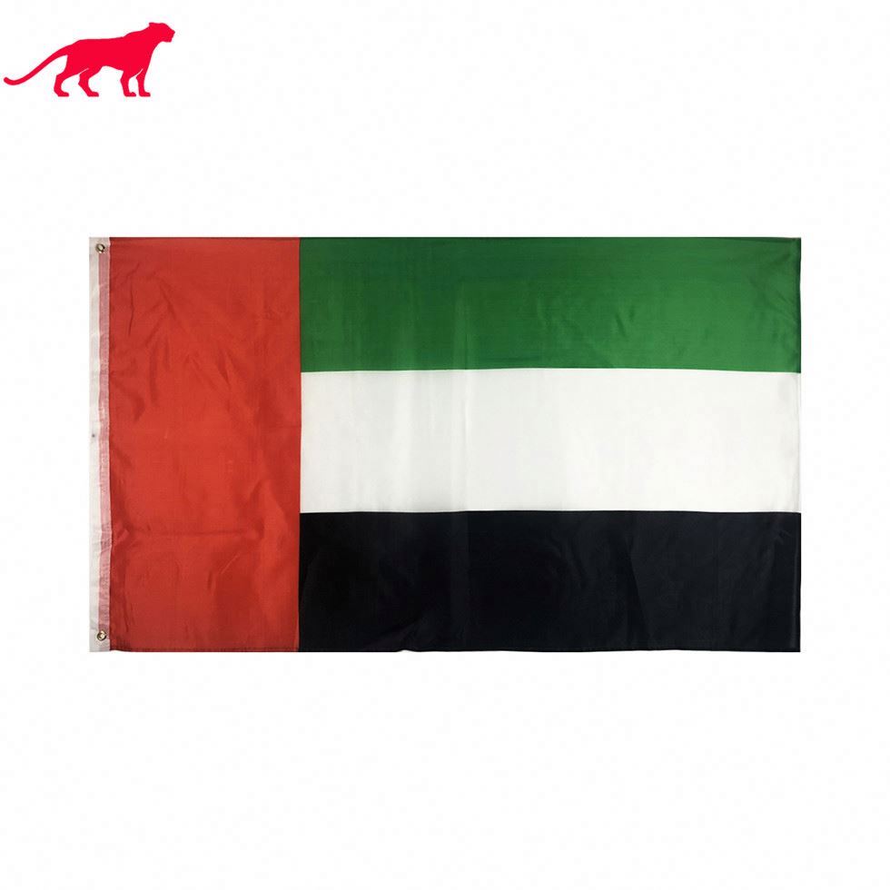 Detail Gambar Bendera Dubai Nomer 6