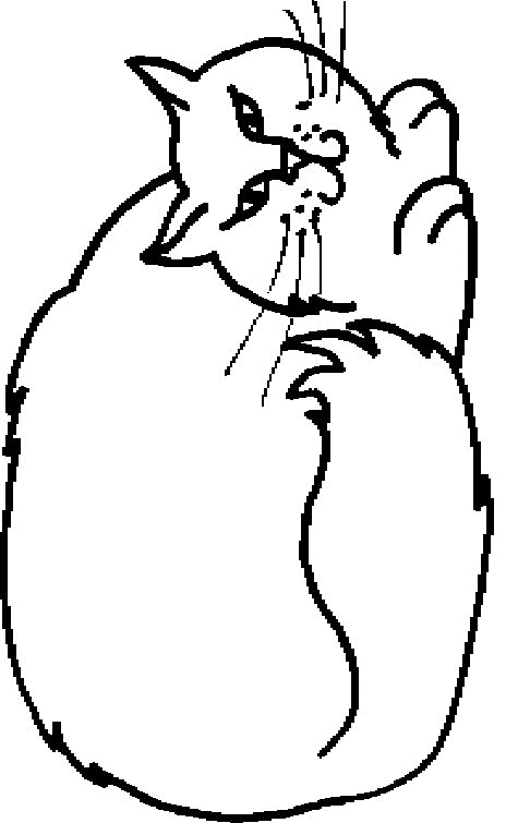 Detail Katze Zeichenvorlage Nomer 12