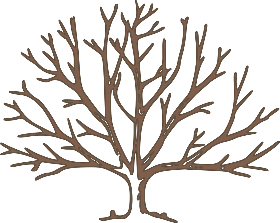 Detail Baum Winter Nomer 3