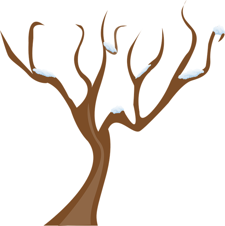 Detail Baum Winter Nomer 5