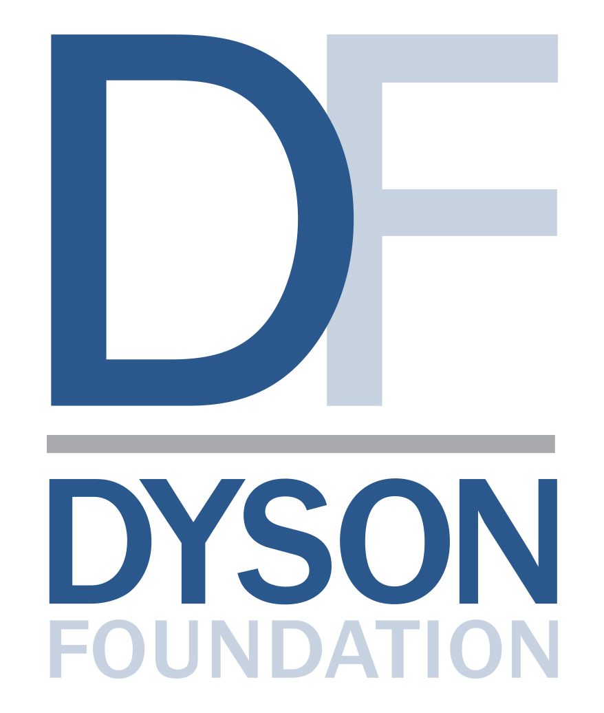 Detail Dyson Logo Nomer 14