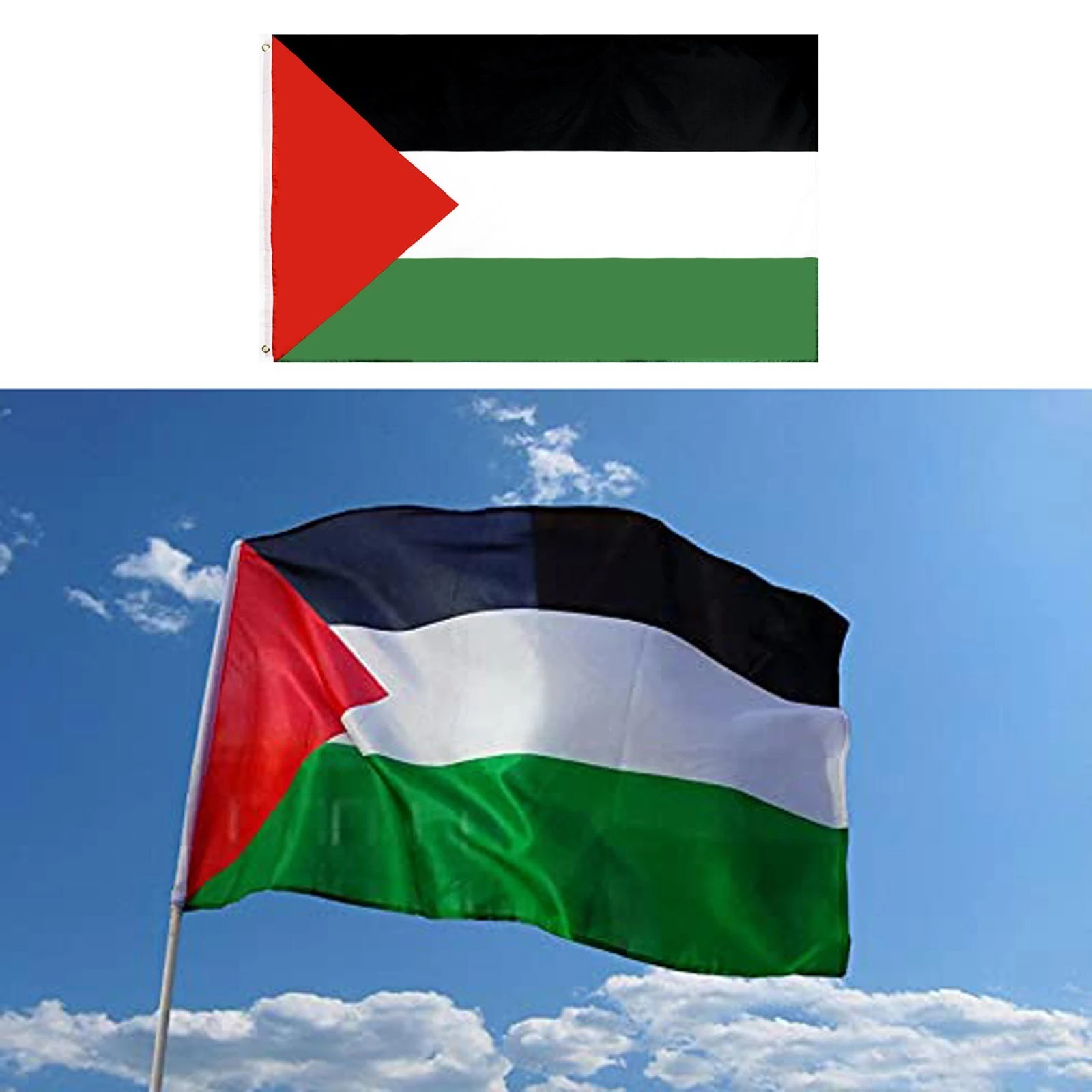 Detail Gambar Bendera Gaza Palestina Nomer 26