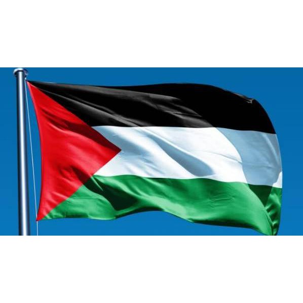 Detail Gambar Bendera Gaza Palestina Nomer 33