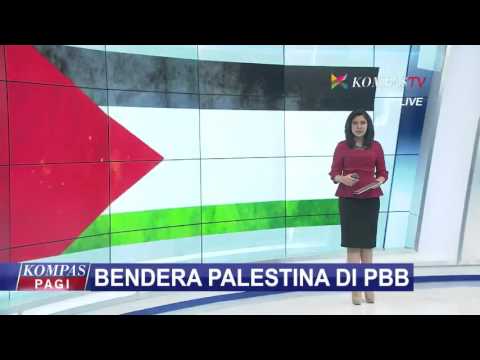 Detail Gambar Bendera Gaza Palestina Nomer 54