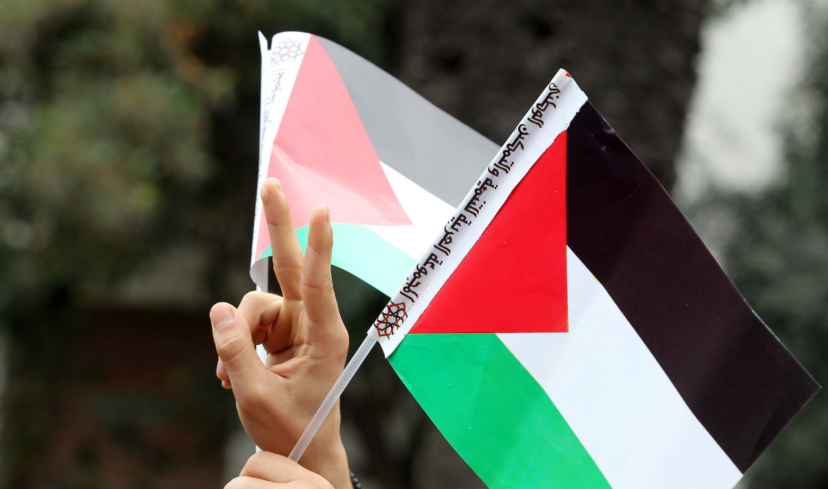 Detail Gambar Bendera Gaza Palestina Nomer 57