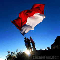 Detail Gambar Bendera Indonesia Berkibar Gif Nomer 39