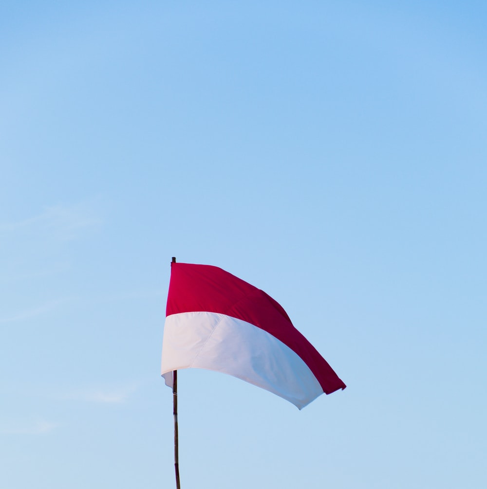 Detail Gambar Bendera Indonesia Hitam Putih Nomer 24