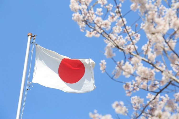 Detail Gambar Bendera Jepang Gambar Bendera Indonesia Nomer 29