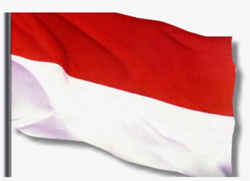 Detail Gambar Bendera Merah Putih Berkibar Format Png Nomer 14