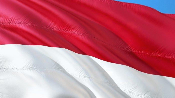 Download Gambar Bendera Merah Putih Gif Nomer 41