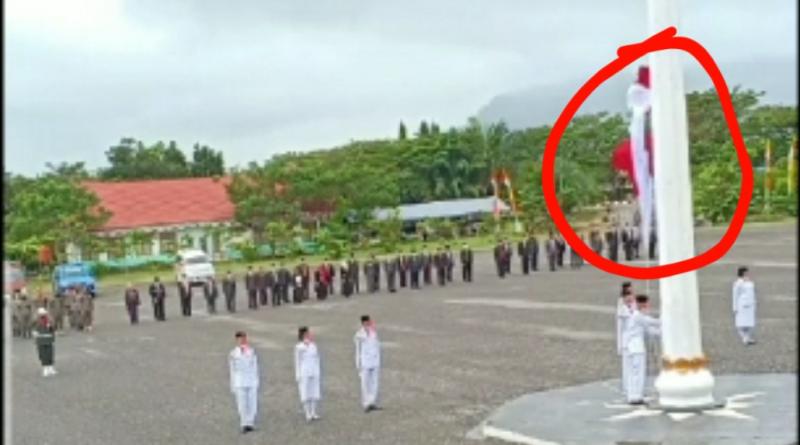 Detail Gambar Bendera Merah Putih Untuk Diwarnai Nomer 49