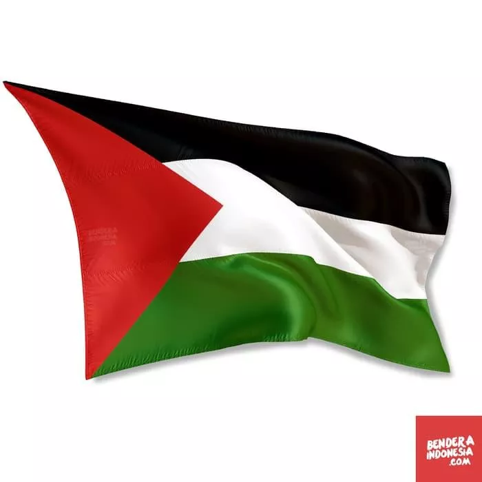 Detail Gambar Bendera Negara Palestina Nomer 5