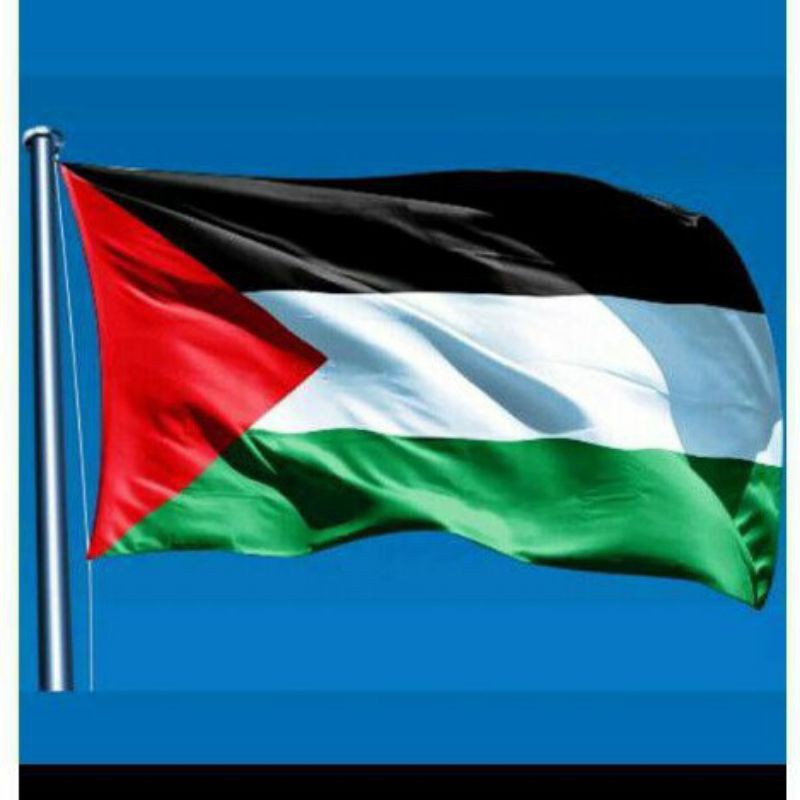 Detail Gambar Bendera Negara Palestina Nomer 7