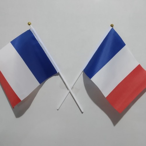 Detail Gambar Bendera Negara Perancis Nomer 29