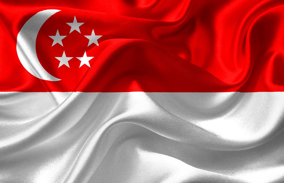 Detail Gambar Bendera Negara Singapura Nomer 11