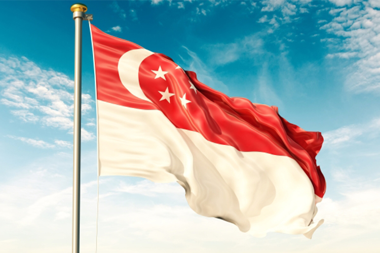 Detail Gambar Bendera Negara Singapura Nomer 56
