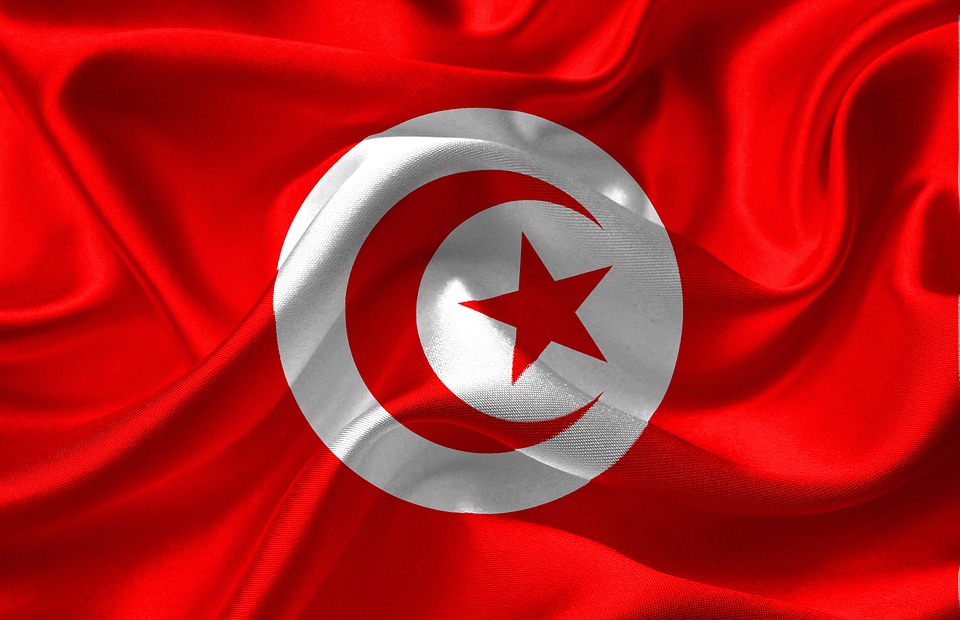 Detail Gambar Bendera Negara Turki Nomer 18