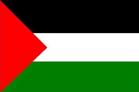 Detail Gambar Bendera Palestina Nomer 36