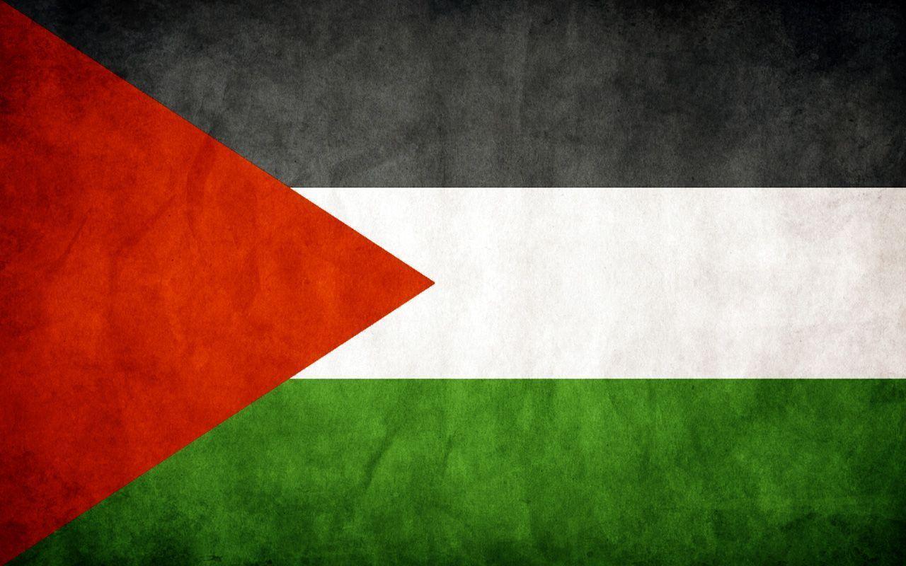 Detail Gambar Bendera Palestina 3d Nomer 15