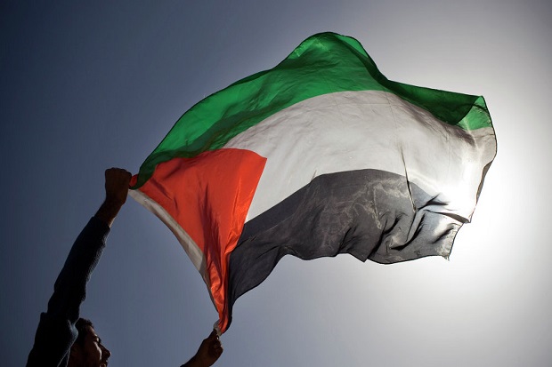 Detail Gambar Bendera Palestina Nomer 48