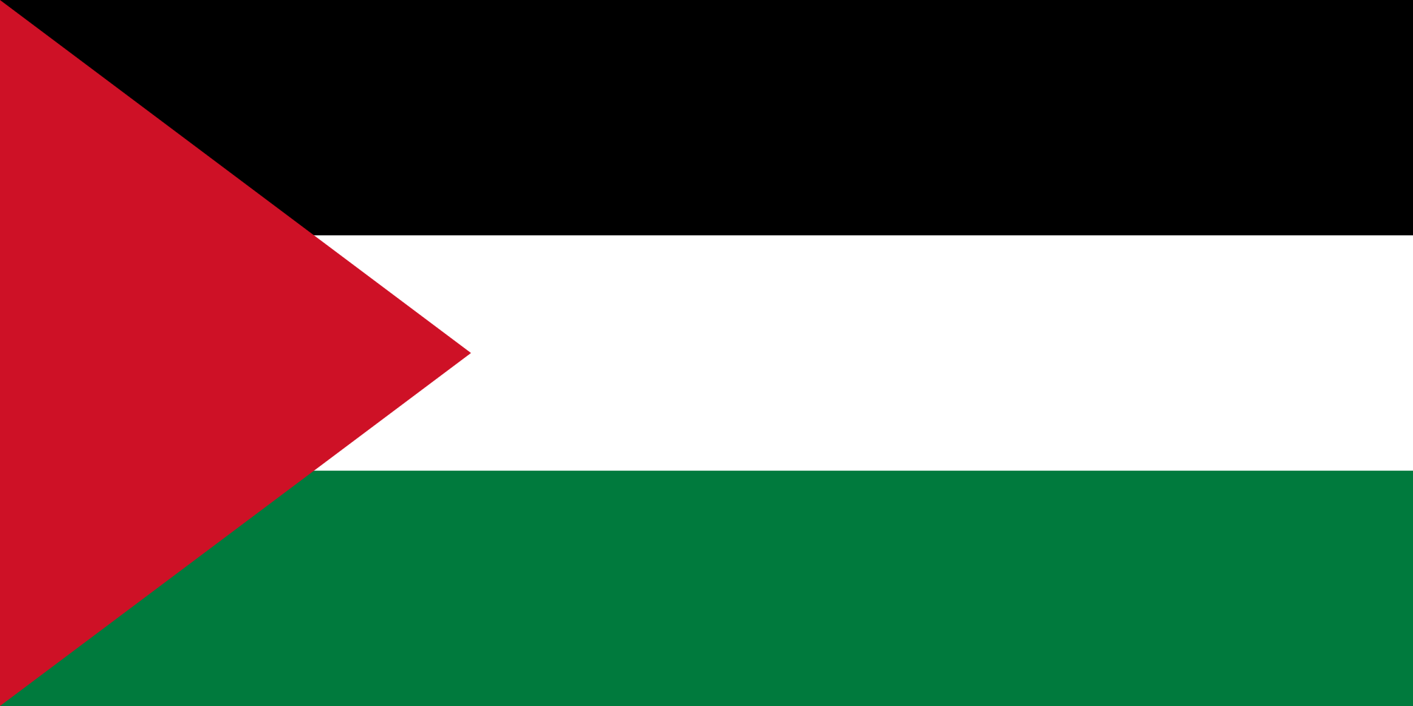 Detail Gambar Bendera Palestina Nomer 7