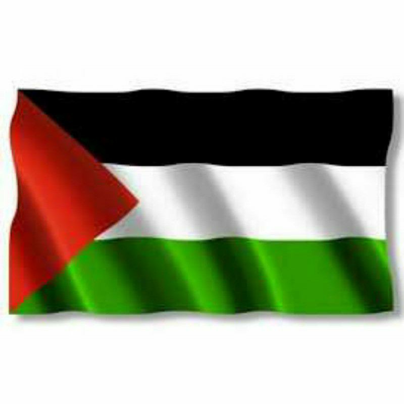 Detail Gambar Bendera Palestina Nomer 8