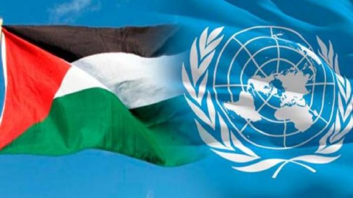 Detail Gambar Bendera Palestina Dan Israel Nomer 22