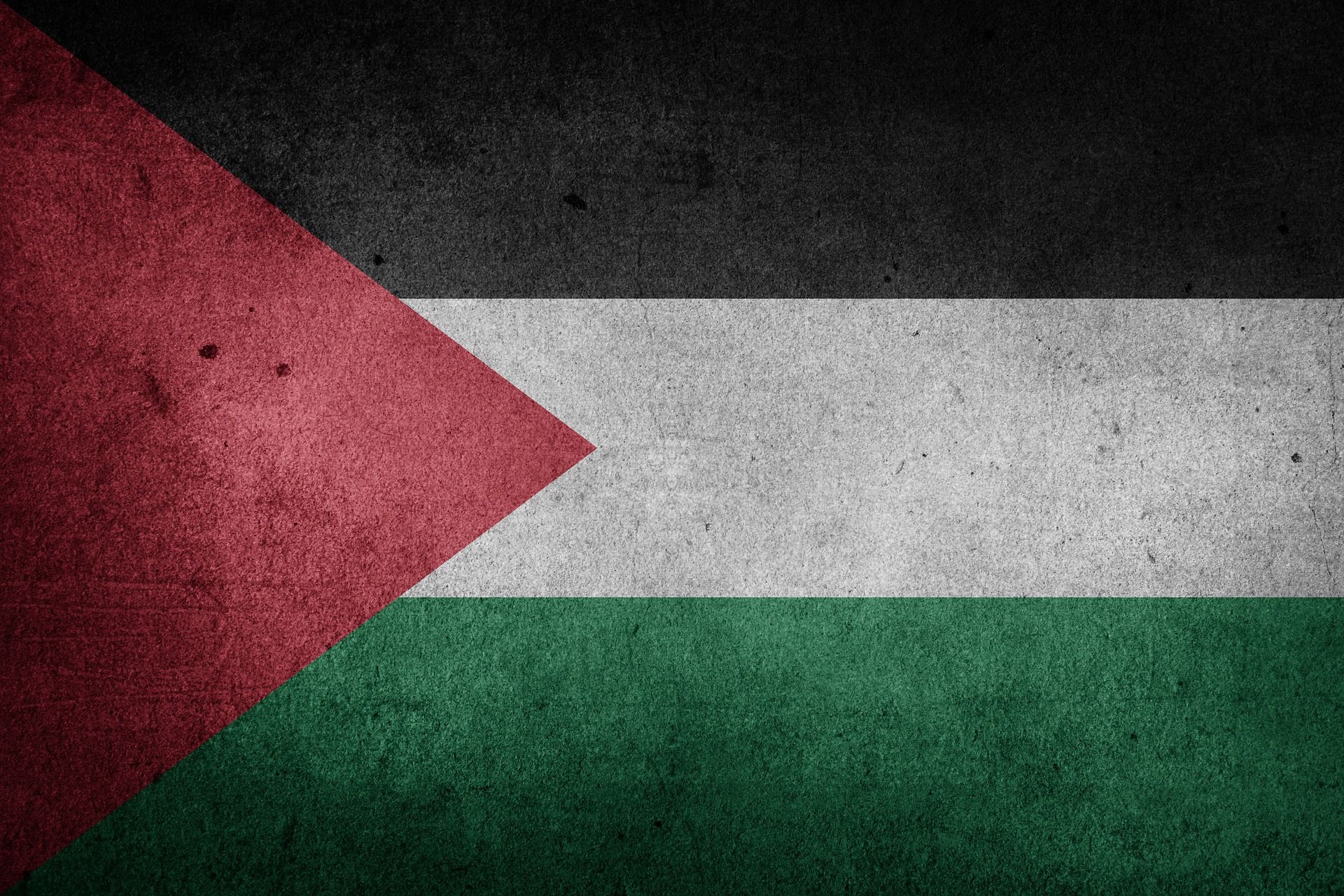 Detail Gambar Bendera Palestina Dan Israel Nomer 23