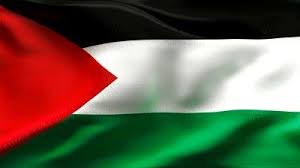 Detail Gambar Bendera Palestina Dan Israel Nomer 44