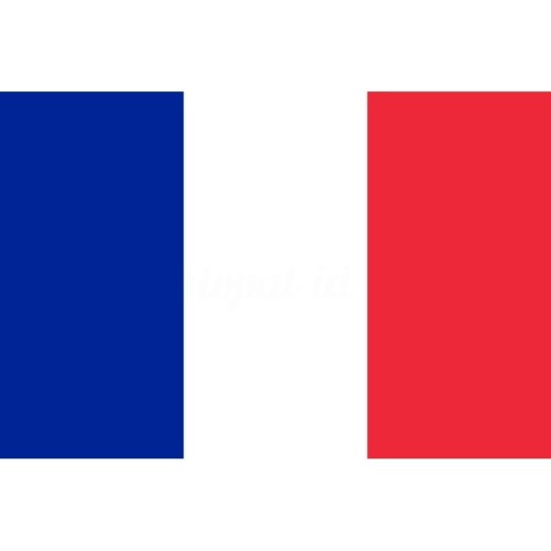 Detail Gambar Bendera Perancis Nomer 4