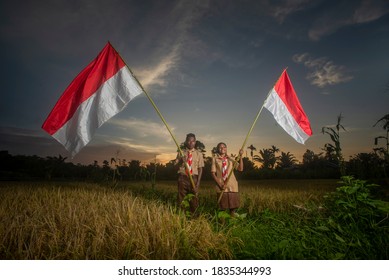 Detail Gambar Bendera Pramuka Nomer 39