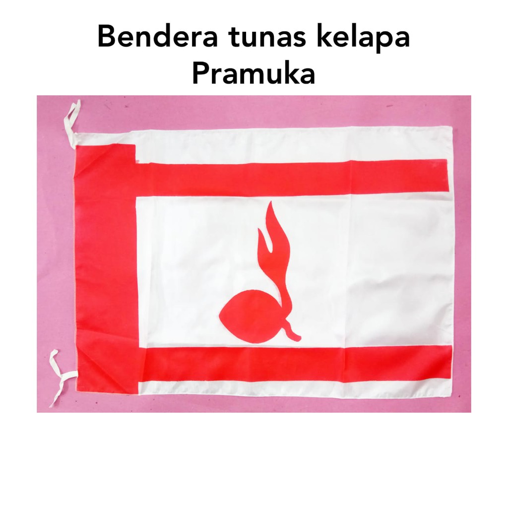 Detail Gambar Bendera Pramuka Nomer 6