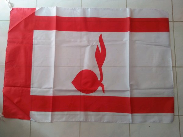 Detail Gambar Bendera Pramuka Nomer 9