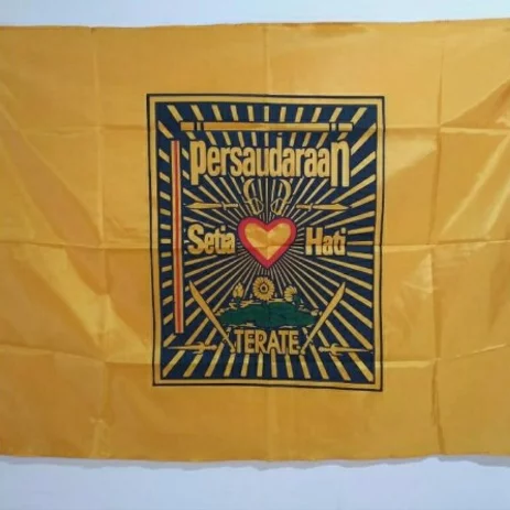Detail Gambar Bendera Psht Nomer 29