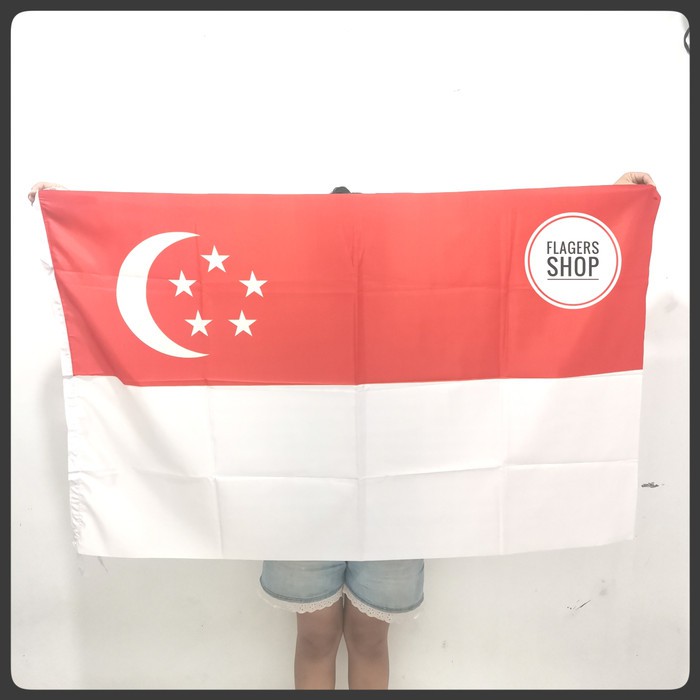 Detail Gambar Bendera Singapura Nomer 20