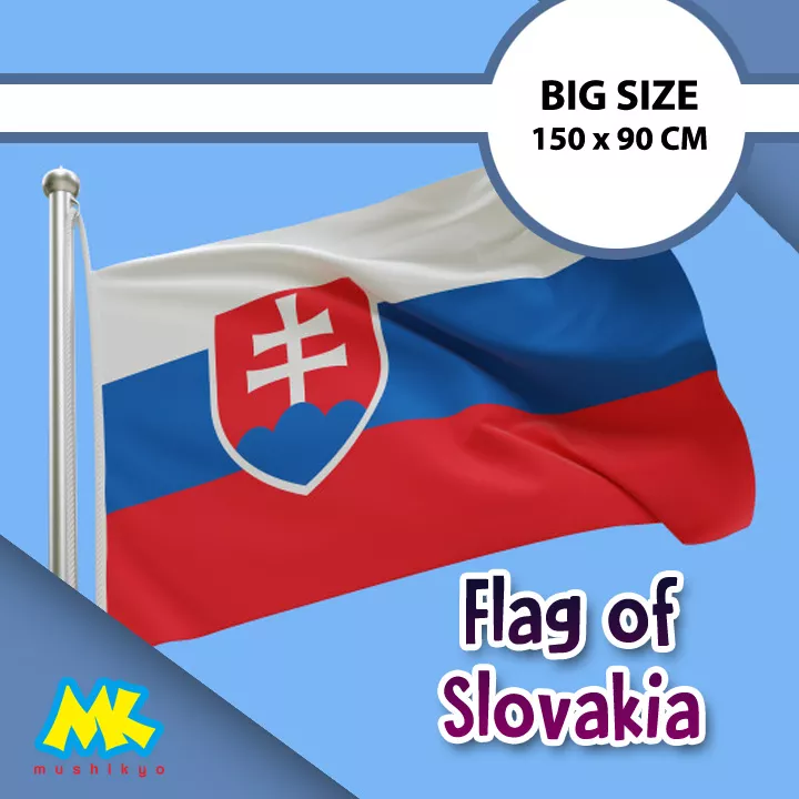 Detail Gambar Bendera Slovakia Nomer 15
