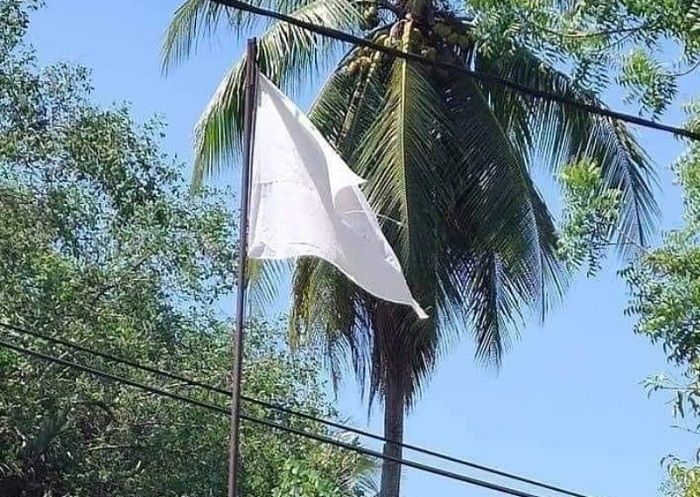 Detail Gambar Bendera Untuk Mewarnai Nomer 53