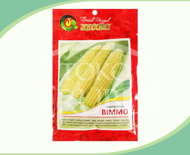 Detail Gambar Benih Jagung Nomer 43