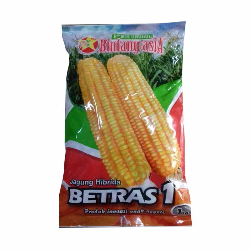 Detail Gambar Benih Jagung Nomer 46