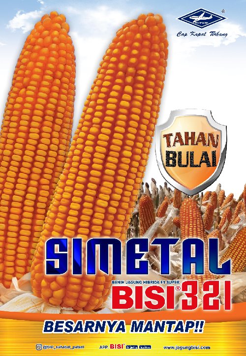 Detail Gambar Benih Jagung Nomer 9