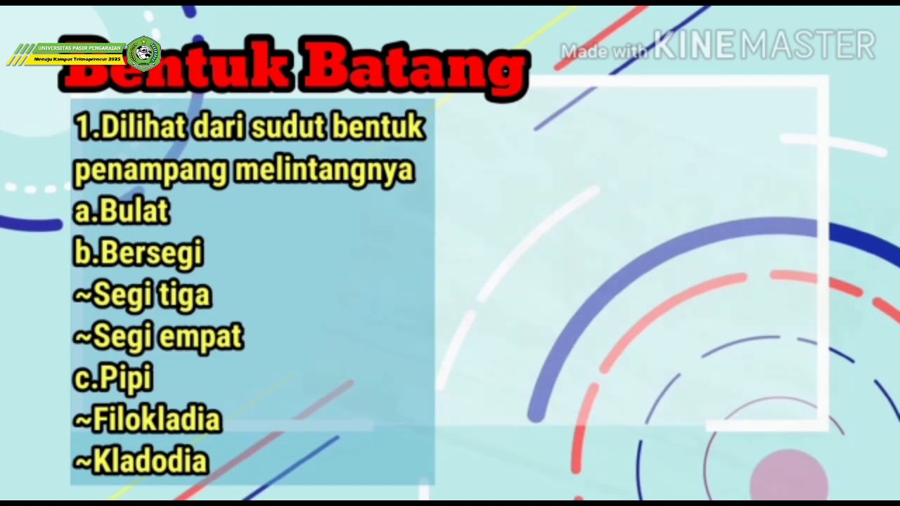 Detail Gambar Bentuk Batang Bersegi Nomer 46