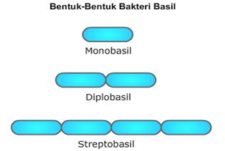 Detail Gambar Bentuk Batang Bulat Nomer 24