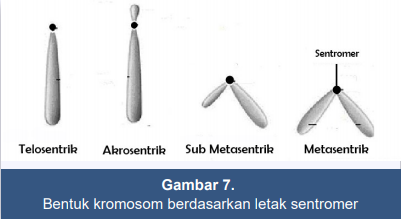 Detail Gambar Bentuk Bentuk Nomer 52