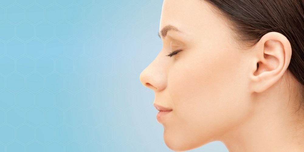 Detail Gambar Bentuk Bentuk Hidung Nomer 15