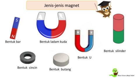 Detail Gambar Bentuk Bentuk Magnet Nomer 16