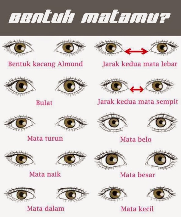 Detail Gambar Bentuk Bentuk Mata Nomer 3